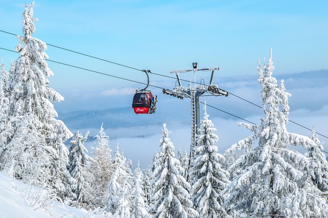 Are your knees going to stand up to your skiing holiday?