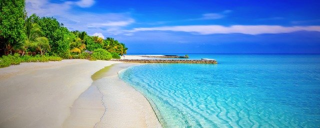 Take a Virtual Trip to the Beach