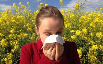 Beating hayfever
