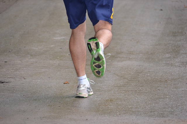 leg-2840390_640