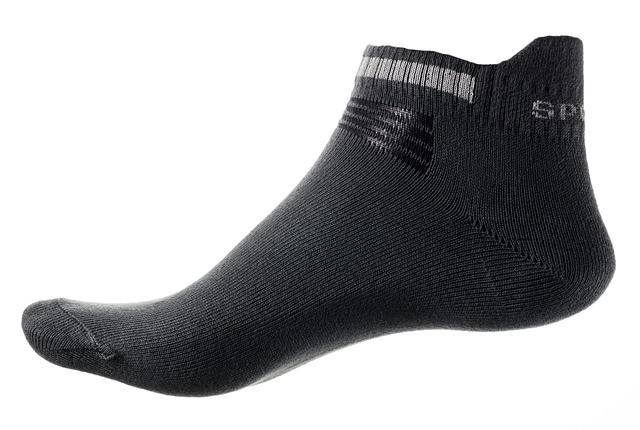 sock-g4b683f506_640