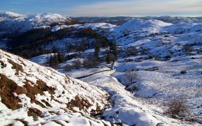 Are your knees ready to Ski?