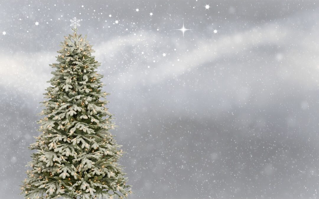 Christmas Opening Hours