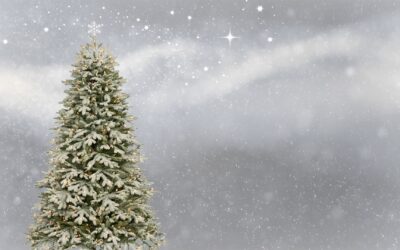 Christmas Opening Hours
