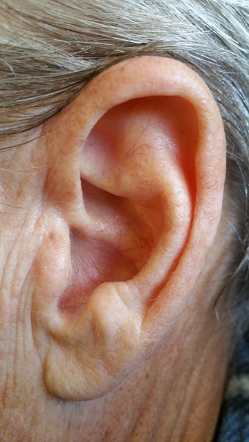 EAR ear-g680d8c018_640