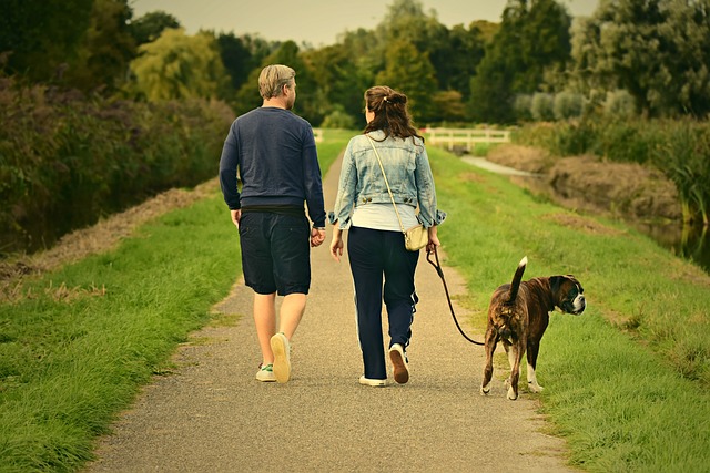 WALKING couple-3687274_640