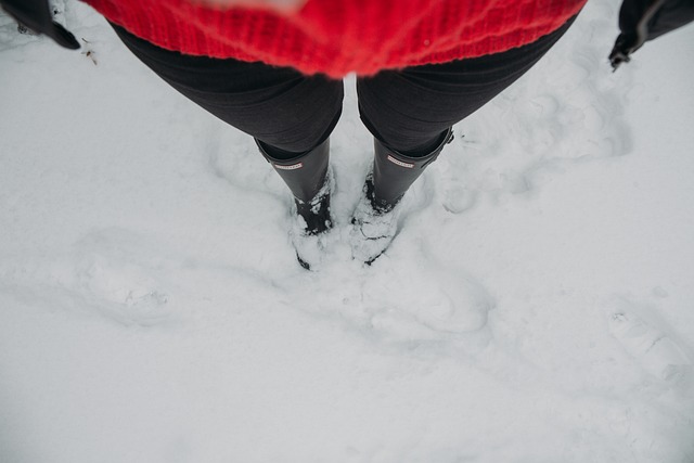WELLINGTONS people-2597431_640
