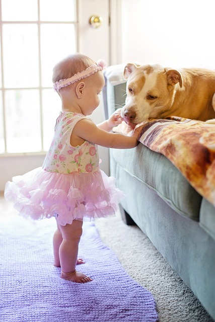 ALEXANDER baby-girl-7163839_640