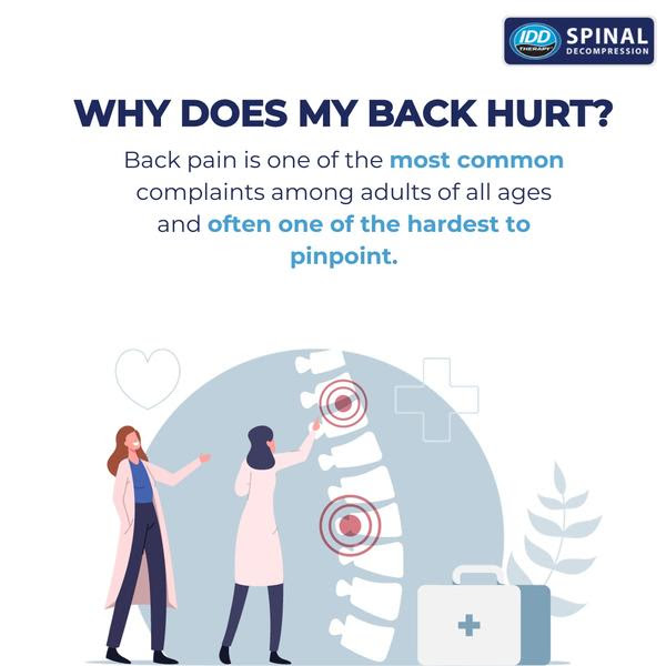 Help is at hand for your back pain
